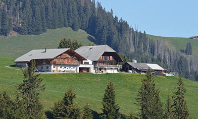 Alpkäserei Site-Alp